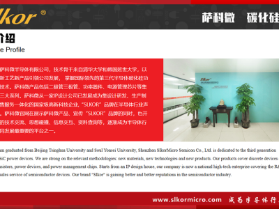 6384959132241938767841837