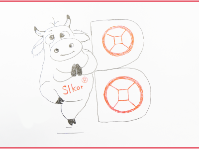 6388082790050488283284093