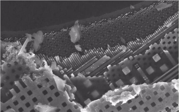 c4ff3c2f03a45a0f789e8cc4a43bc11b